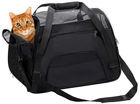 cat carrier duffle bag