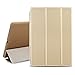BESDATA Ultra Thin Magnetic Smart Cover [Auto Wake/Sleep Function]& Translucent Back Case for 2013 iPad Air + Screen Protector + Cleaning Cloth + Stylus, Gold