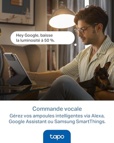 Ampoule Connectée Alexa E14, Multicolore LED Dimmable L430P