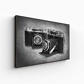 Canvas Wall Art for Living Room, Bedroom Black and White Article Framed Canvas Prints for Home Decoration Ready to Hang - 16x24 inches