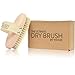 The Ultimate Dry Brush by YOOVE | Premium Dry Brushing Body Brush | Dry Brush for Cellulite and Lymphatic | 100% Natural Bristle Exfoliating Brush