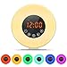 Alarm Clock, Wake Up Light With 6 Nature Sounds, FM Radio, Touch Control, Sunrise/Sunset Simulation and Aviation Aluminum Stent (White)