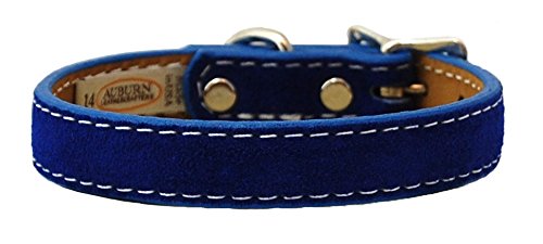 Saratoga Suede Dog Collar 3/4x14 Blue