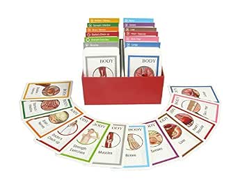 American Educational Products Body Iq Standard Set Of Cards (5710847000068)