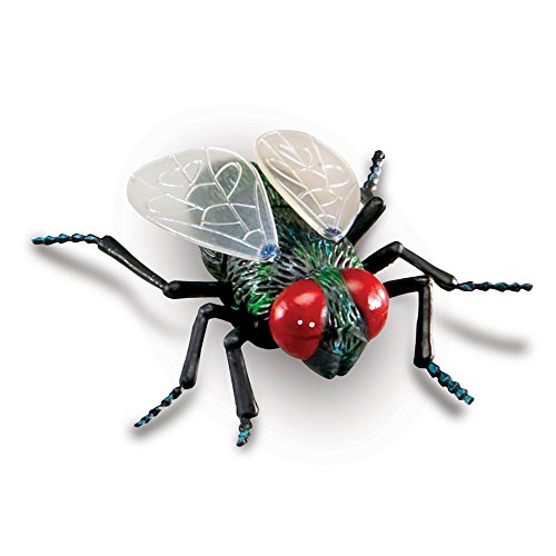 Learning Resources Jumbo Insects, 7-Insects