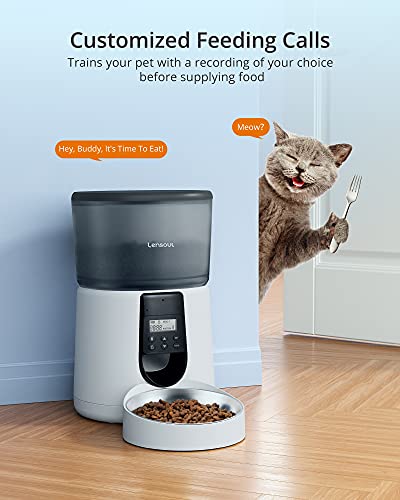 refrigerated cat feeder