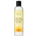 Jane Carter Solution Hydrating Invigorating Shampoo, 8 Ounce