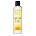 Jane Carter Solution Hydrating Invigorating Shampoo, 8 Ounce