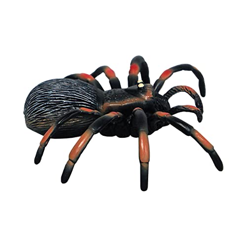 Tarantula
