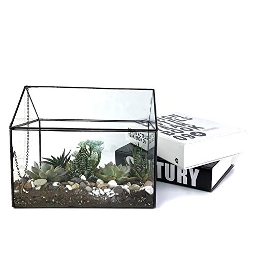 Large Glass Plant Terrarium with Lid Tabletop Succulent Geometric