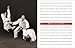 Essential Anatomy: For Healing and Martial Arts