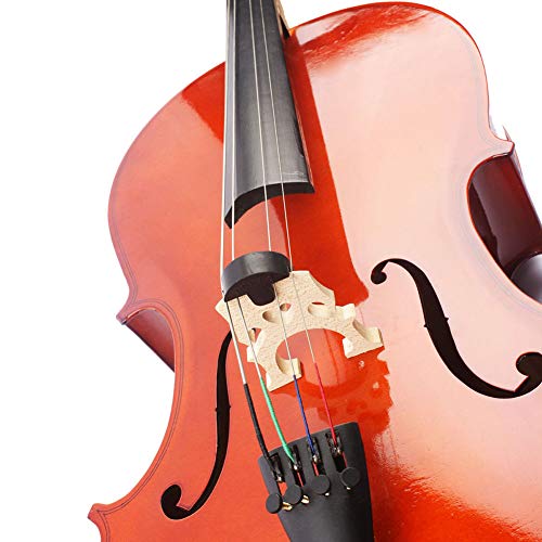 XuBa Round Rubber Two Holes Double Bass Cello Violoncello Mute Silencer for 4/4 or 3/4 Cello Violoncello Black Cello