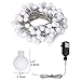 Arespark Globe String Lights 8 Mode 100LED 33foot Waterproof Decorative Starry Fairy Lights, for Indoor Outdoor Patio Wedding Party Home Garden Bedroom, Warm White