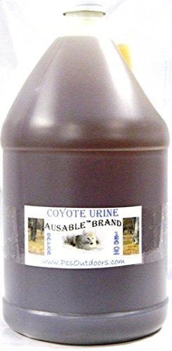 AuSable® Brand Coyote Urine 1 Gallon of Pure Coyote Urine