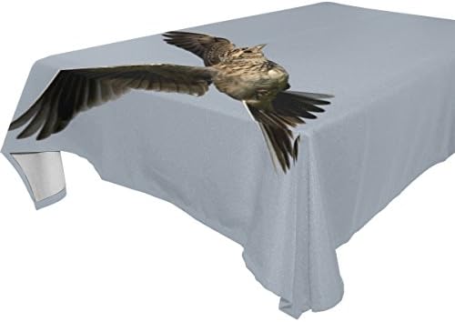 BYouLockX Brown Bird Pattern Rectangle Tablecloth 60x108(in)