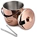 Ice Bucket, Stainless Steel Double Wall and Insulated Ice Buckets with Lid and Tongs-3L