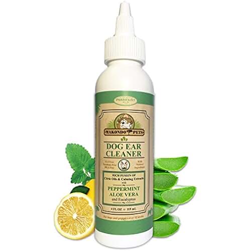 Dynamic Can I Use Witch Hazel On My Dog View Illustration Dynamic Can I Use Witch Hazel On My Dog View Illustration
