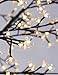 Akari LED Cherry Blossom Christmas Tree 8 FT 600L LED Decorative Lighted Tree for Party/Wedding/Indoor Outdoor/Office/Christmas Decoration, Warm White