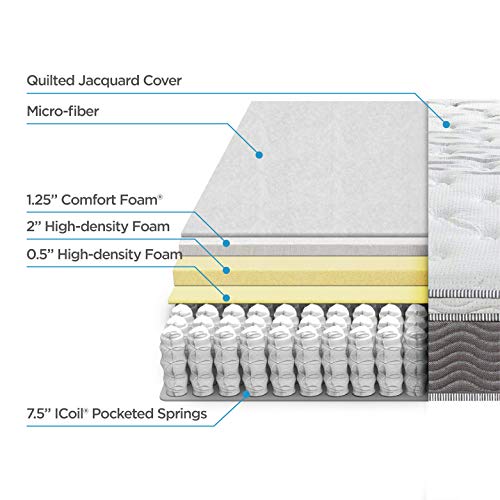 Zinus 12 Inch Support Plus Pocket Spring Hybrid Mattress with Euro Top