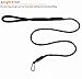 RockPet Mountain Climbing Rope Dog Leash with Secure Locking Carabiner 6FT Rope Leash for Small Medium and Large Breeds(Black)