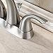 Spring Two-Handle Bathroom Faucet with Drain Assembly and Faucet Supply Lines, Brushed Nickel,14262