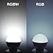 MELPO LED Color Changing Light Bulb with Remote Control, 3W E26 Dimmable RGB Light Bulbs for Birthday Party/KTV Decoration/Household/Bar/Wedding (Pack of 4)