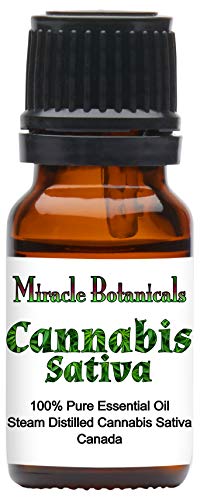 Miracle Botanicals Cannabis Sativa Essential Oil - 100% Pure Cannabis Sativa - 10ml or 30ml Sizes - Therapeutic Grade - 10ml (Best Hash Oil Pen On The Market)