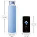 MIU COLOR Glass Water Bottles, for Beverage, Drinking, Borosilicate Glass Juice Bottle, Milk Container, to Go Sports, 16 oz, BPA Free…