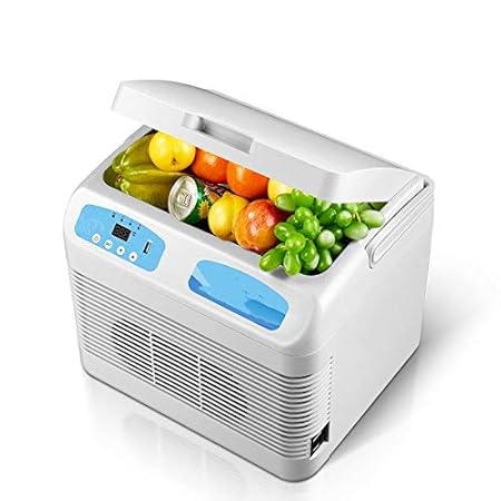 DULPLAY Escritorio Nevera Coche,12l Pequeño Refrigerador ...