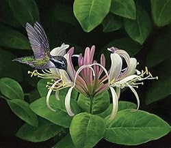 Finding Nectar 550 pc Jigsaw Puzzle by SUNSOUT INC
