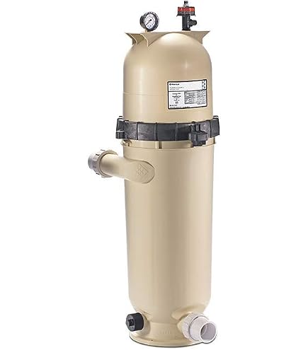 Amazon.com: Pentair EC-160353 Clean and Clear RP 200 sq. ft. In