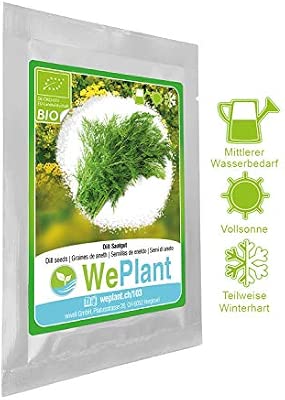BIO/ORGANICO Eneldo - Semillas ecológicas de plantas naturales ...