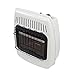 Dyna-Glo BF10NMDG 10,000 BTU Natural Gas Blue Flame Vent Free Wall Heater