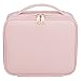 Ollieroo Makeup Train Case Professional 9.8” Travel Makeup Cosmetic Artist Organizer with Adjustable Dividers Pink