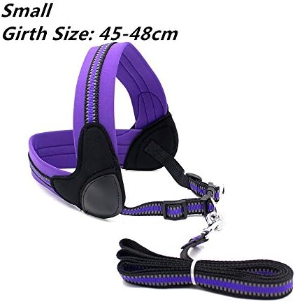 roadwi Front Range Dog Harness Vest, Adjustable Soft Neoprene Breathable Padded, No-Pull Safety for Walking, Hiking, Training, Running (Small, Purple)