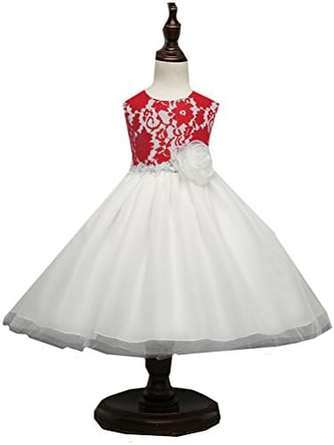 QINGYUAN Girls Lace Princess Dress Ball Flower Girl dresses 3-4 years Red