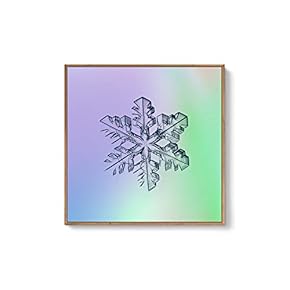 Framed Canvas Wall Art for Living Room, Bedroom Snowflake Theme Canvas Prints for Home Decoration Ready to Hang - 16x16 inches