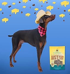 Remy's Kitchen Just Bison Liver Freeze Dried Treats