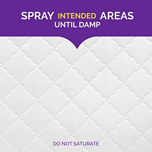 HOT SHOT READY-TO-USE BED BUG KILLER SPRAY, KILLS BED BUGS AND BED BUG EGGS, KILLS FLEAS AND DUST MITES, 32 OUNCE
