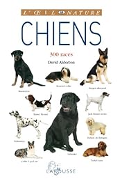 Chiens