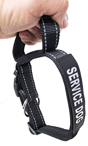 ALBCORP Reflective Dog Collar with Control Handle and Service Dog Patch, Woven Nylon, Comfy Neoprene Padding for Training or Walking Your Service Animal, Large, Black