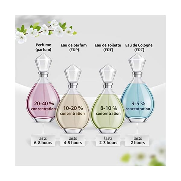 Classique by Jean Paul Gaultier Eau De Toilette for Women 50ml