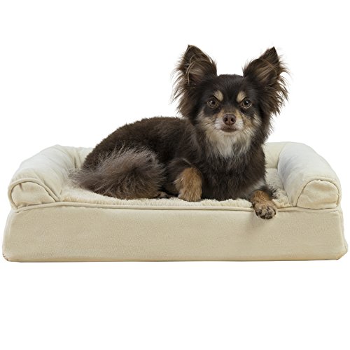 Petmate Pet Caf Feeder Keep Your Pets Healthy