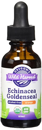 Oregon's Wild Harvest Organic Echinacea Goldenseal-Orange Extract, 1 Fluid Ounce