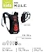 CamelBak Mini M.U.L.E. Kids Hydration Backpack, 50 oz, Azalea/Aruba Blue