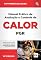 Livro Manual Prático de Avaliação e Controle de Calor - PGR (Programa de Gestão de Riscos Ocupacionais)