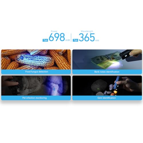 IMALENT BL50 EDC Flashlight with 365nm UV LED, XHP50.3 HI LED, 3600 Lumens, TYPE-C Rechargeable Flashlight, Professional Powerful LED Flashlight for Outdoor, Emergency and Daily Life Use. (Green)
