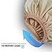 Incontinence Leak-Protection, Washable Pull-On Diaper Cover Pant, Advanced-Cool-Lightweight-Durable- Kleinert's (Beige, XX-Large)