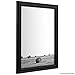 Craig Frames 200ASHBK 16 by 20-Inch Picture Frame, Wood Grain Finish, 0.75-Inch Wide, Black
