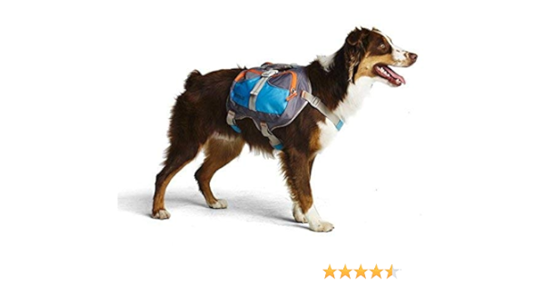 cesar millan dog backpack